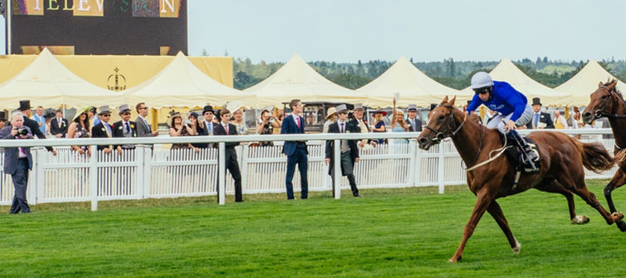 Ascot Area Guide